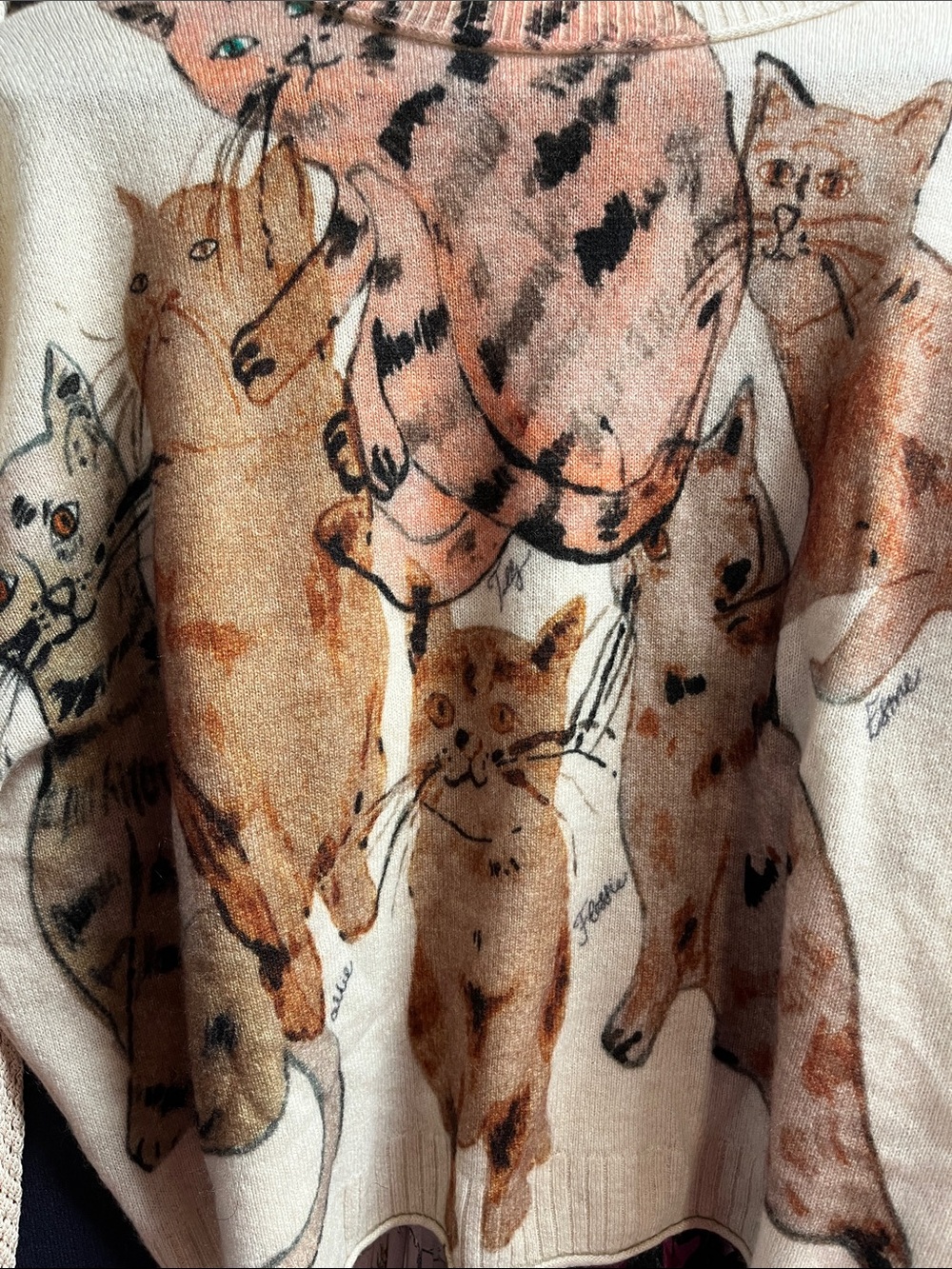 Anthropologie Goldie cashmere Women's Cream Graphic Cat Print  Sweater Medium - Picture 6 of 9